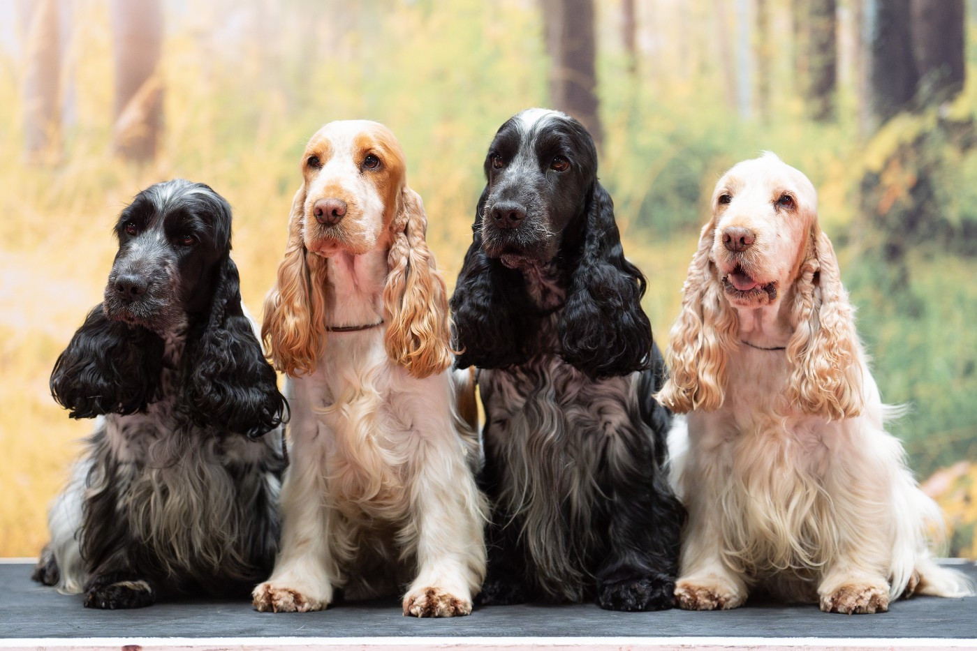 Résultats tests santé